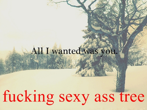 Tree, you so sexy