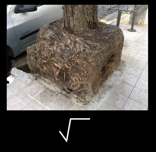Square root!!