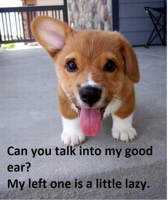 Can You Talk To Me...