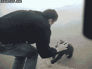 Man Mauled By Bear
