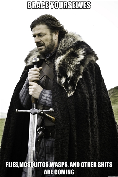 Brace yourselves...