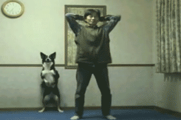 Good doggy