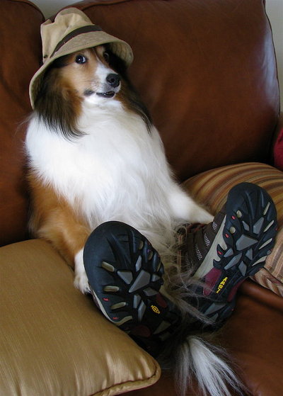 I'm chillin here man!