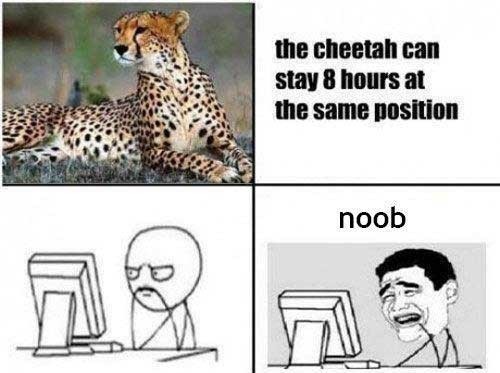 Cheetahs Got Nothing On Me