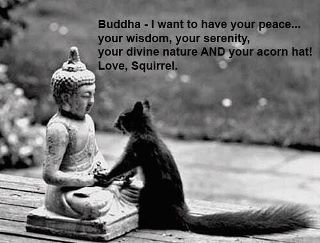 And your acorn hat