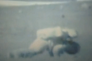Doing push-ups on the moon!