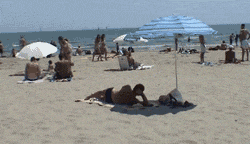 Your average day at the beach.