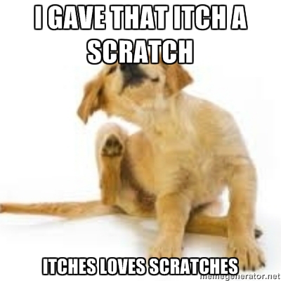 I gave that itch a scratch