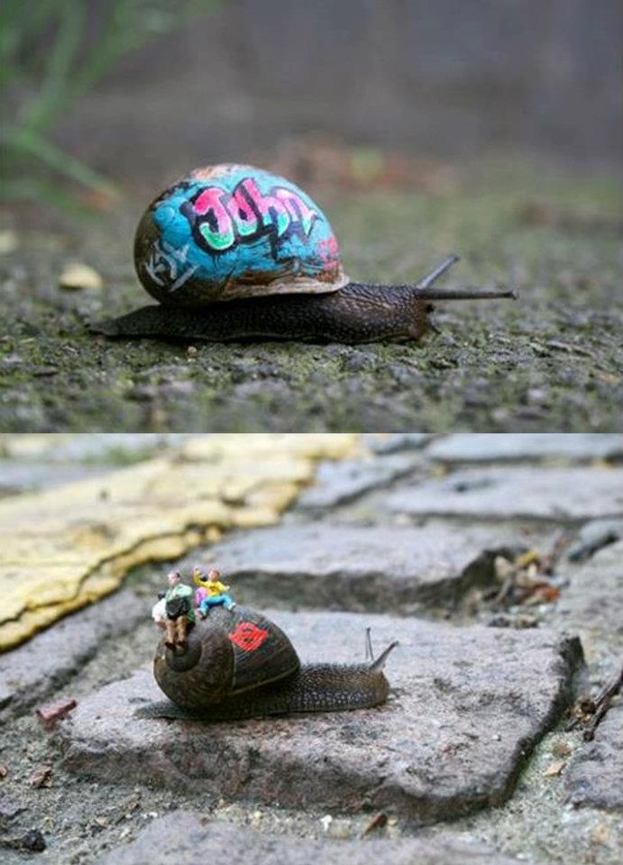 Art on snails!