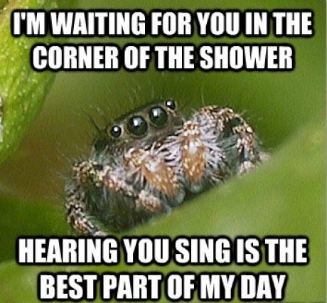 Cute Spider Loves You!