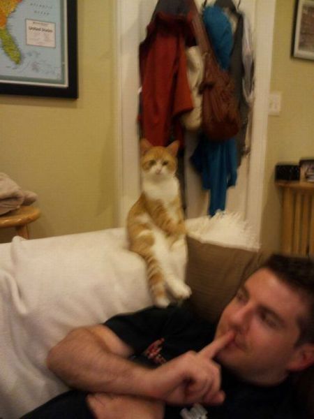 Luk at me i is ladylike