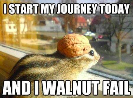 That is one small motivated rodent!
