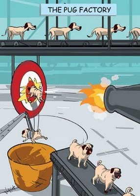 How pugs are made.