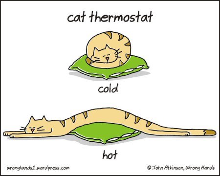 How to know the temperature