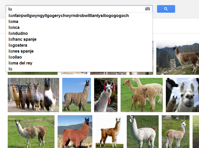 On a normal sunday evening, googeling llamas.