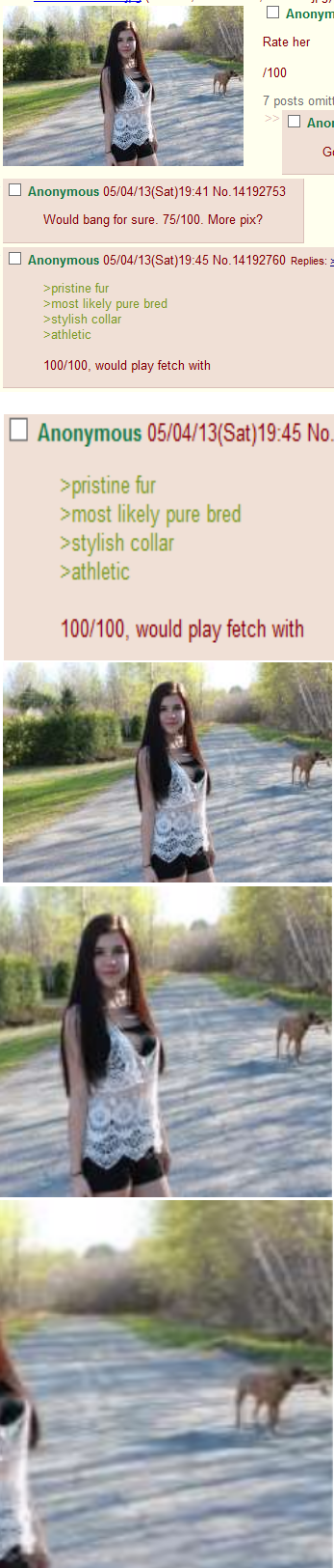 Why 4chan