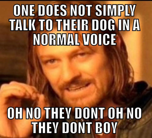 Who's a good boy ?