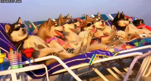 B*tches on the beach