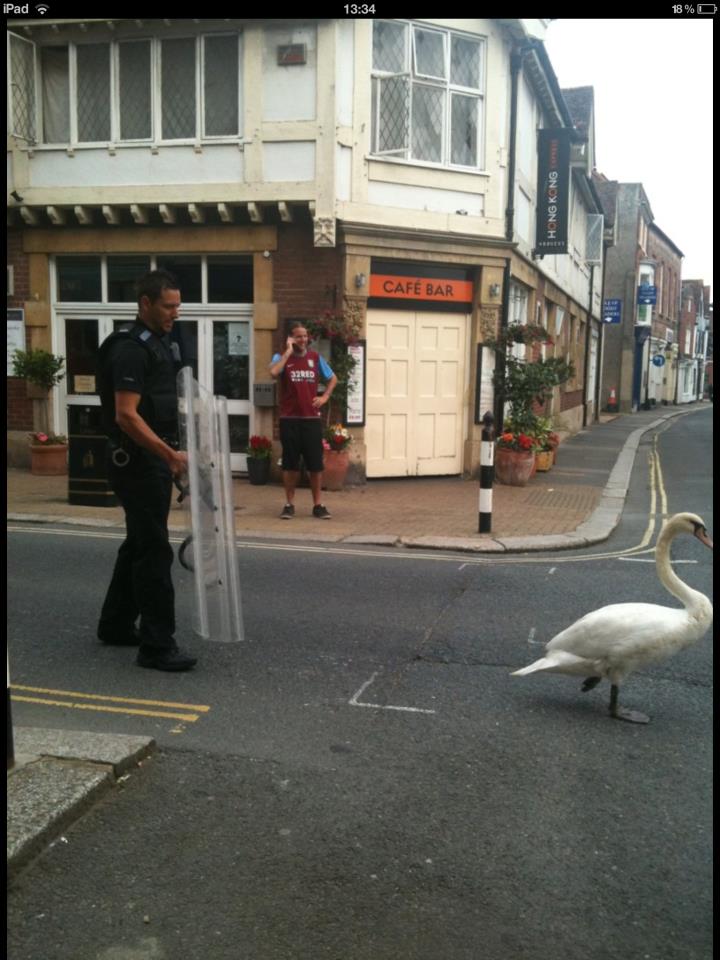 Hot Fuzz style policing on the rural Isle of Wight, England