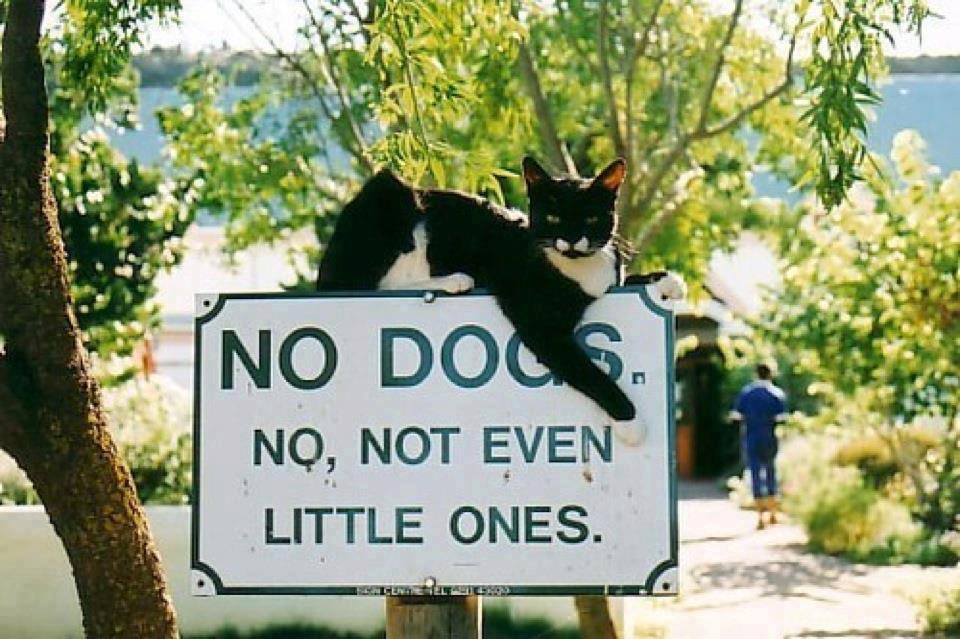 Thats how it works here!