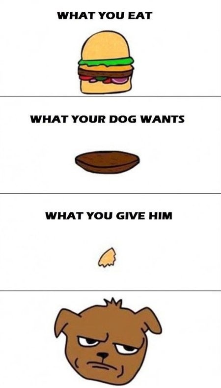I'm a dog and i totally agree this.
