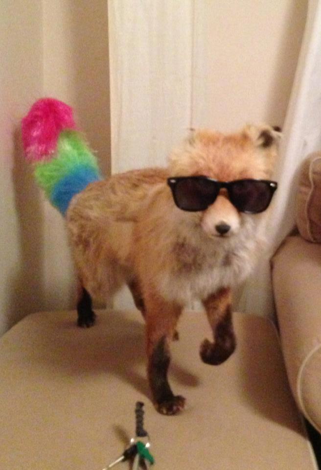 Party Fox is ready to party