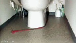 He will catch it one day