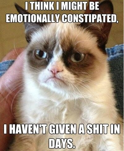 Oh Grumpy Cat, you occasionally amuse me...