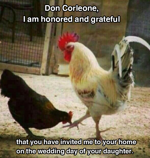 Don , i'm honored !