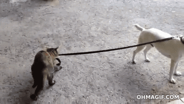 Move b*tch