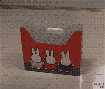 If it fits, it sits... or not..