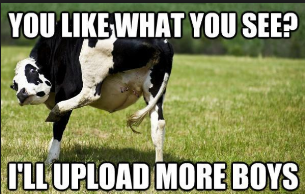 Mmmm dat cow bewb