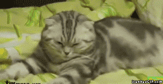 I'm not tired.. I'm not tired.. I'm not......