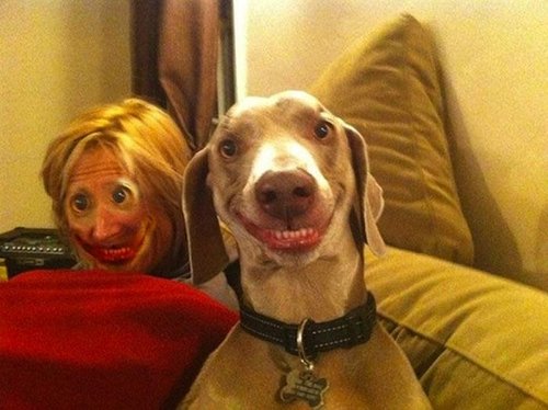 Laughed more than I should have
