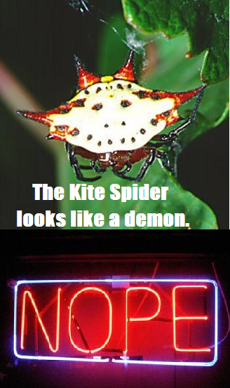 At least it's a happy demon.