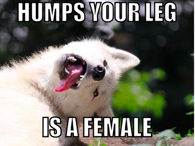 ..or is that just my dog