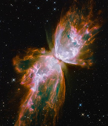 Butterflies in space? So alien life exists!