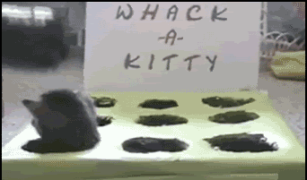Whack-A-Kitty (I'm going to Hell for this)