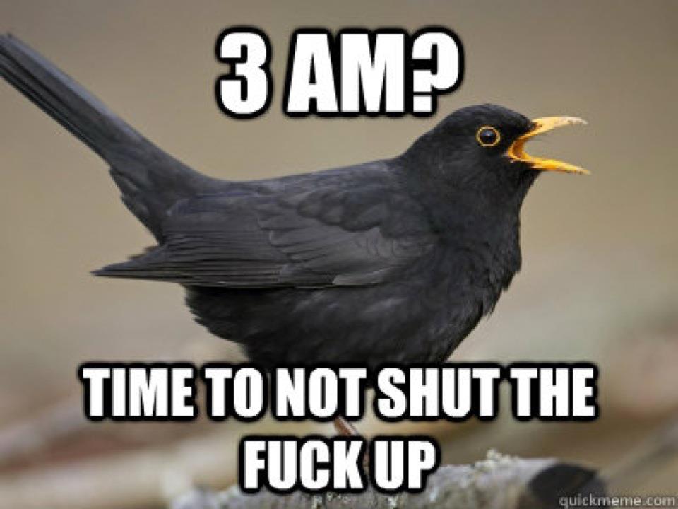 They're just rude.