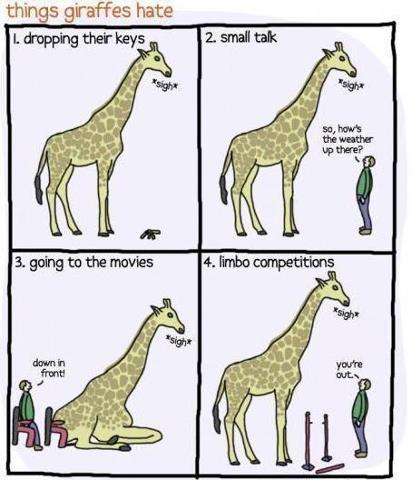 Things Giraffes Hate