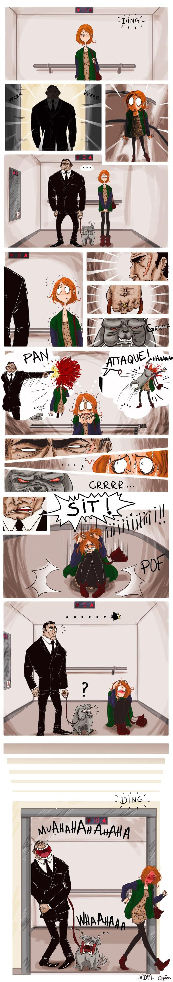 Sit!