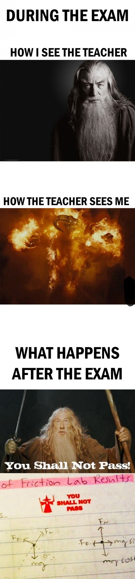 During the exams!