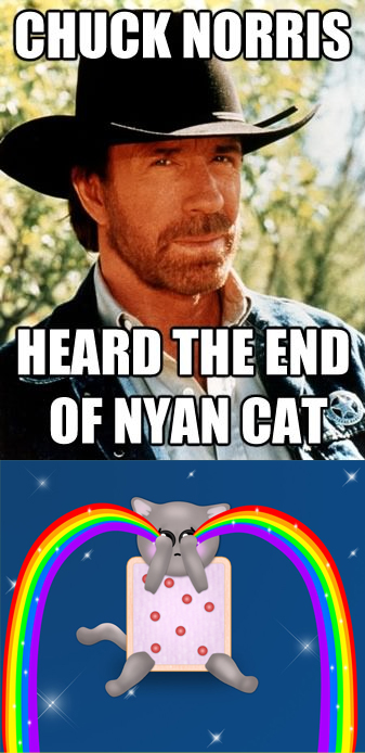Chuck Norris VS Nyan Cat
