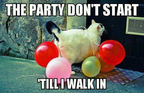 Party rock is in the house tonight!