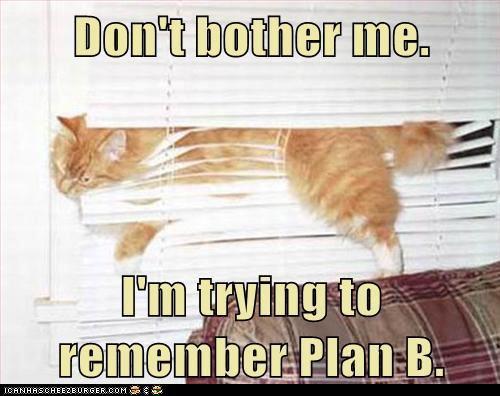 Dont bother me...