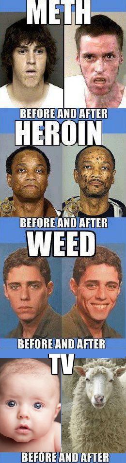 Seems legit