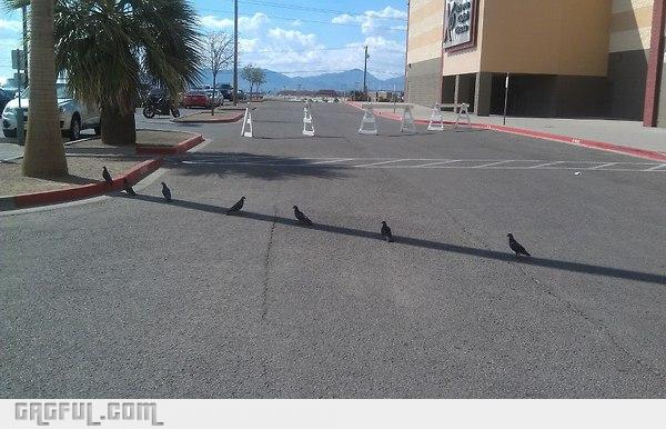 you know its hot when you see this
