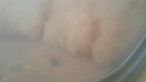 Flying into a sandstorm