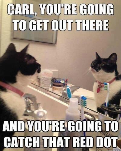 carl catch that red dot