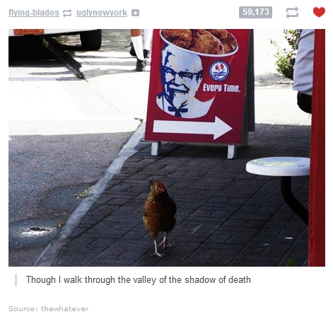 Suicidal chicken.